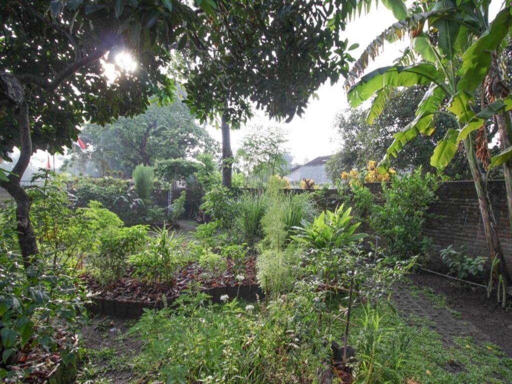 Bhumi Hostel 日惹 外观 照片
